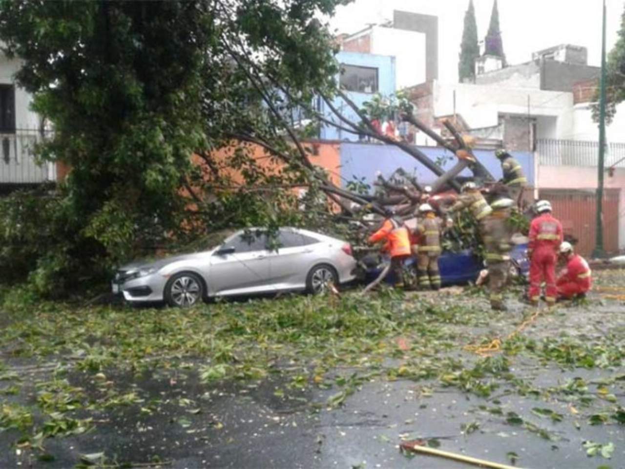 Reportan inundaciones y árboles caídos tras lluvias en Jalisco