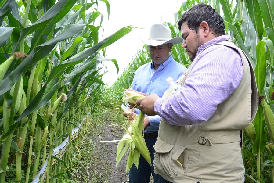 CREARÁN PADRÓN DE PRODUCTORES DEL CAMPO JEREZANO