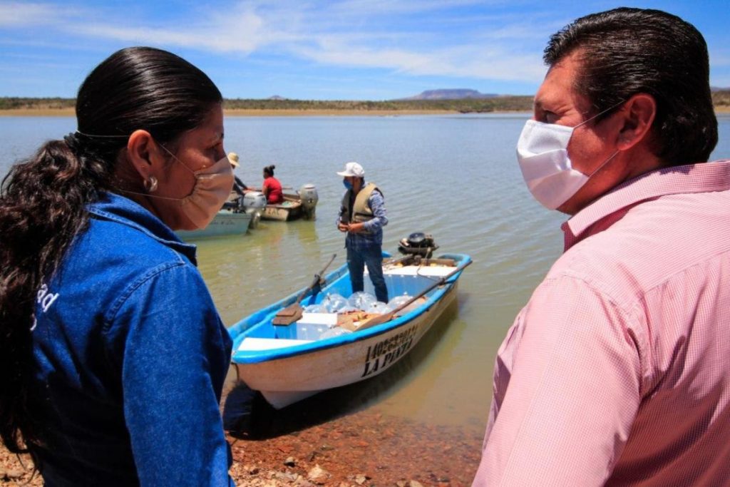 benefician a dos comunidades de Tlaltenango y 14 de Tepechitlán